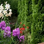 In Near Slopes * Wagrain