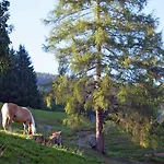 In Near Slopes * Wagrain