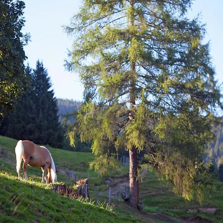 In Near Slopes *