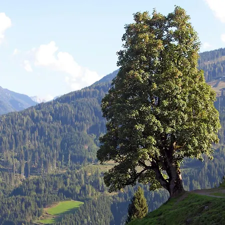 Lägenhet In Near Slopes *