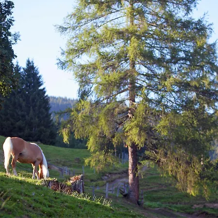 In Near Slopes * Wagrain