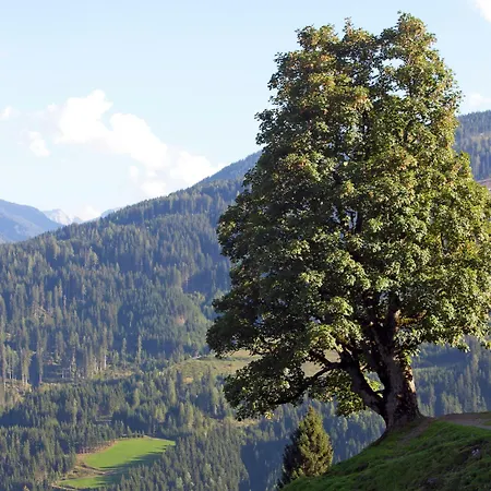 In Near Slopes Lejlighed