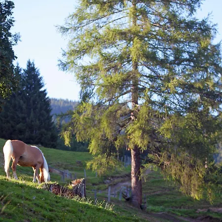 Lejlighed In Near Slopes