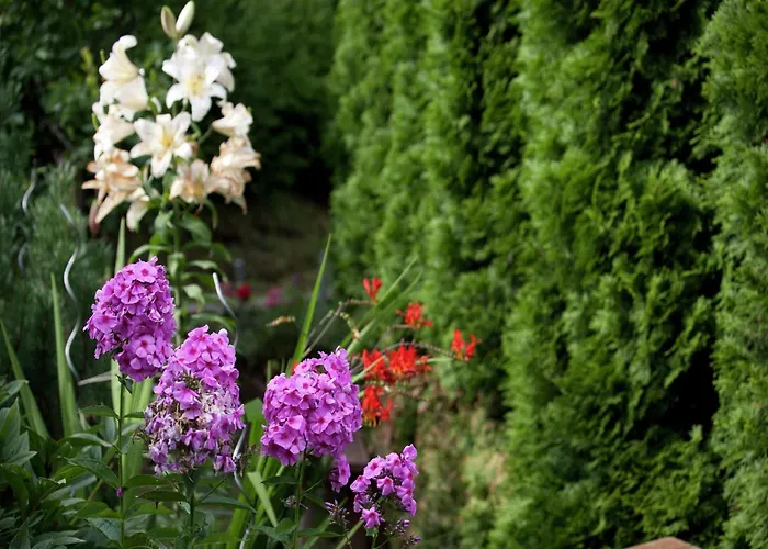 In Near Slopes * Wagrain