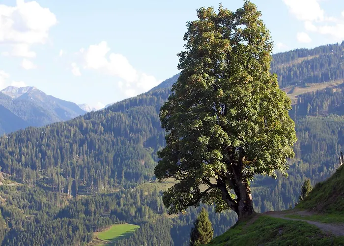 Apartamento In Near Slopes *