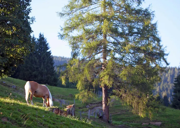 In Near Slopes * Wagrain